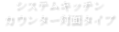 システムキッチン カウンター対面タイプ